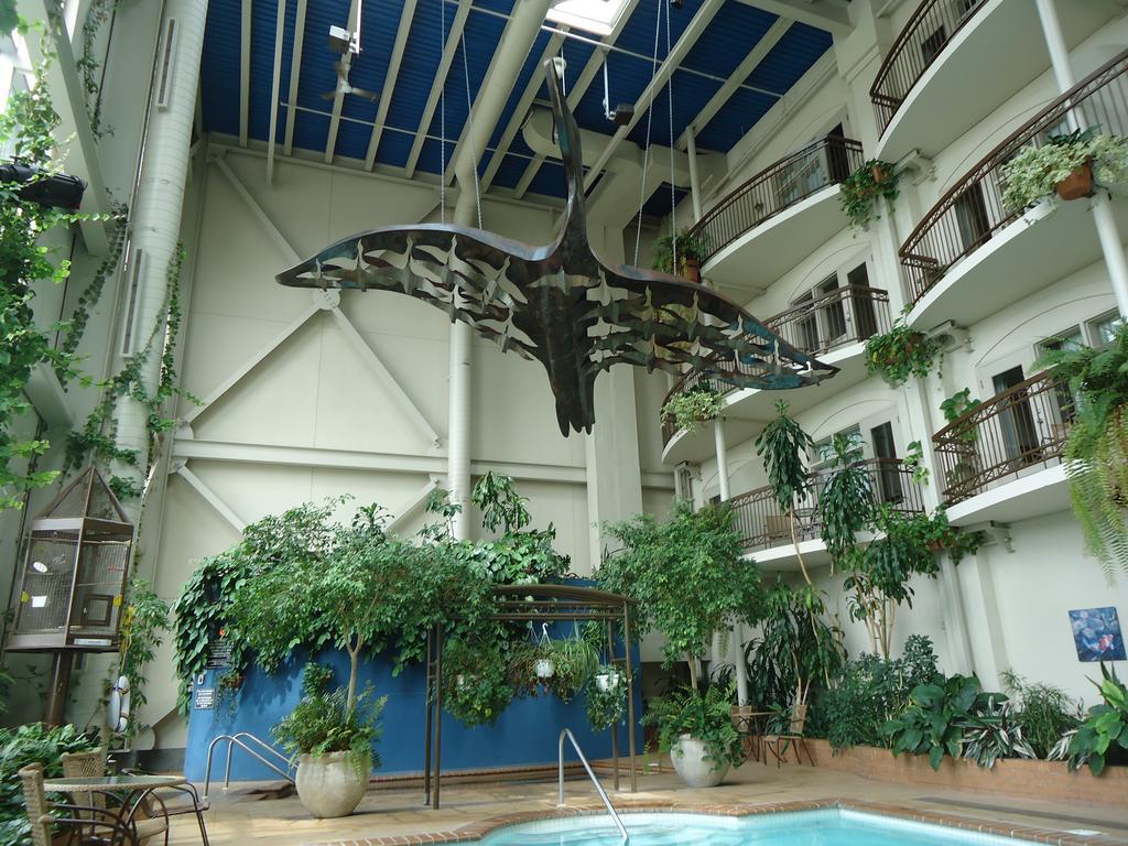 Hotel L'Oie Des Neiges Леви Экстерьер фото